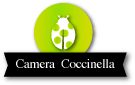 Camera Coccinella